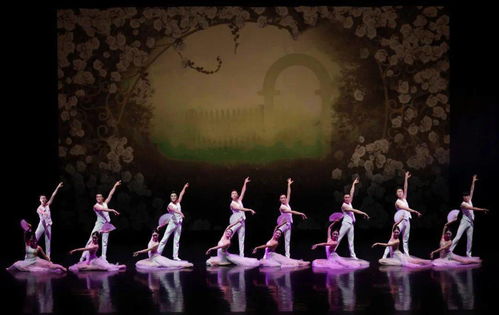 舞動經典 以舞今信息為媒，重賞歌劇名篇新境